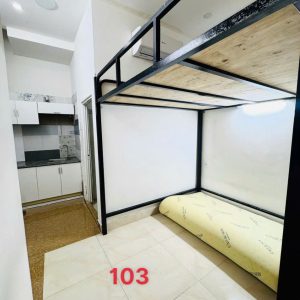 Số 207 Nguyễn Văn Lượng - Image 3